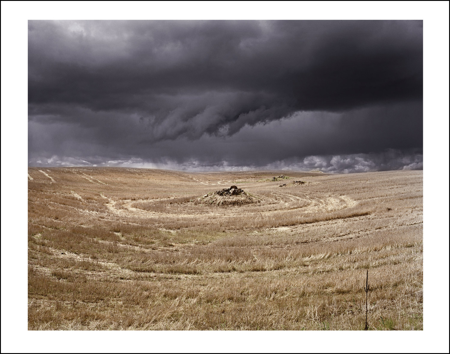 ADAM SATUSHEK Rocks in Field